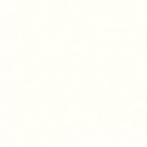 Sunny White Super Matte